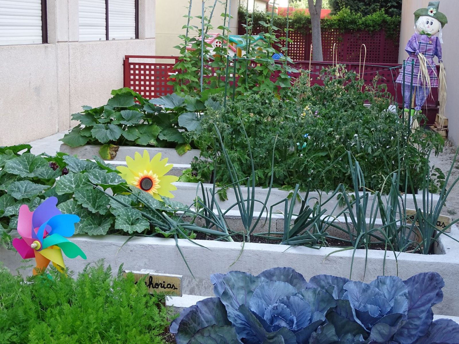 NATURALIZACIÓN DEL ENTORNO ESCOLAR