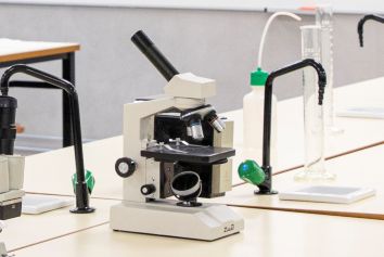 PLENA COMPETENCIA EN TODAS LAS MATERIAS