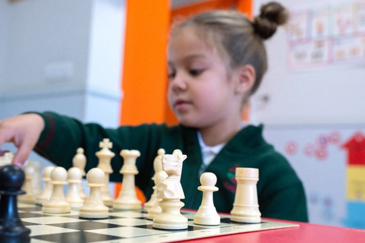 ESTIMULACIÓN DE LA INTELIGENCIA