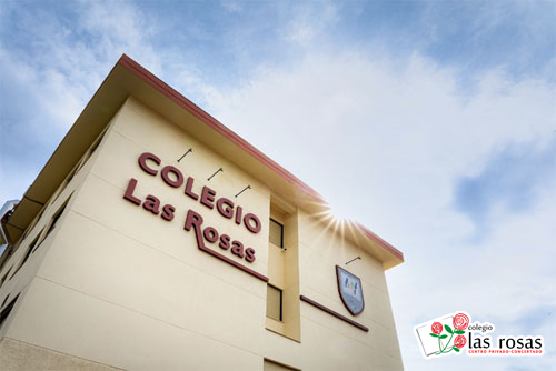 Circulo Voluntario molécula Información general – Colegio Las Rosas